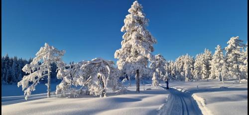 Sndre Land Ski Chalet | DaVita Ranch