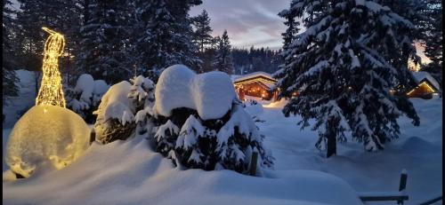 Sndre Land Ski Chalet | DaVita Ranch