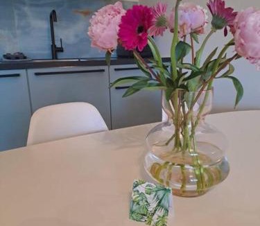 Zelhem Apartment | De Platwever 3B
