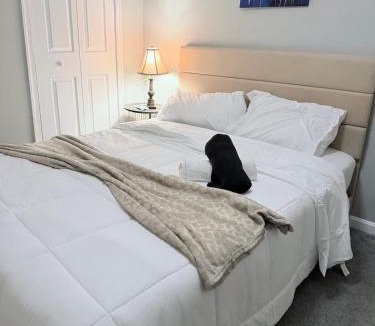 Lansdowne Apartment | Deelux stay private room near airport and downtown