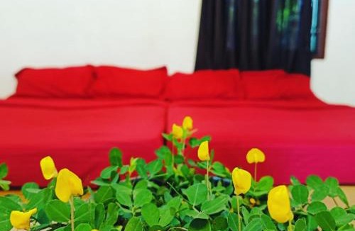 Sulthan Bathery Apartment | Deep Villa