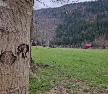 Brosteni Cabin | Deer Chalet