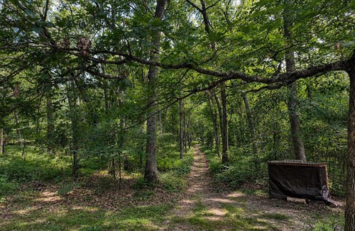 Mauston House | Deer Haven - Private 9-Acre Retreat - Near WI Dells