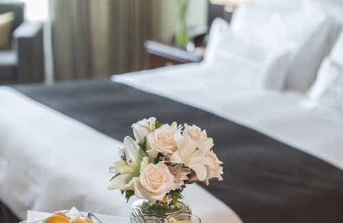 Sector 1 Hotel | Delfines Hotel & Convention Center
