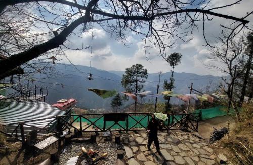 Shimla Other | Delicate camp