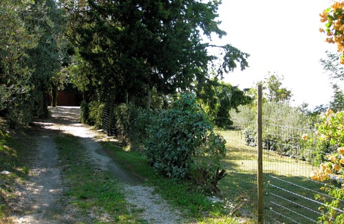Chiavari Villa | Delightful 4-bedroom villa in private olive grove with WiFi in Chiavari