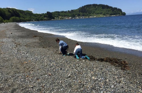 Sekiu RV Rental | Delightful campground in Sekiu/Clallam Bay with stunning views