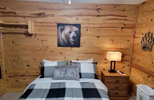 Mountain View House | Delightful Studio Cabin for Two near Mirror Lake in Mountainview, Arkansas