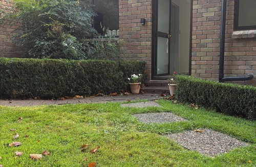 Richmond Downs Apartment | Delightful studio set in Rural Waikato, 20 mins from Cambridge