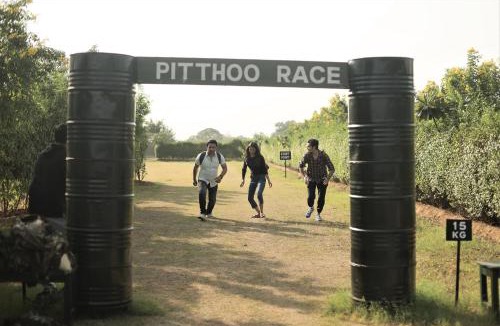 Taoru Other | Delta 105 - A Military Themed Adventure Park