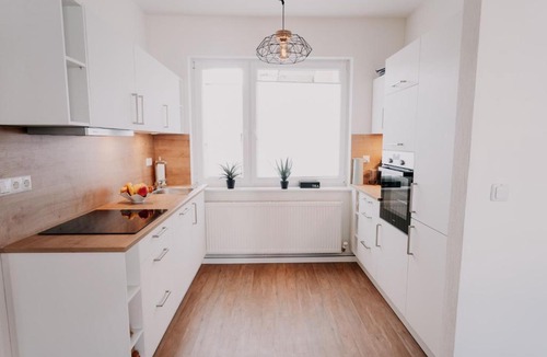 Neustadt Apartment | Deluxe Apartment Mainz I 2 BR I 7P I Zentral I Küche I WiFi I Nähe Zollhafen I helloYOU apartments x BRIGHT Collection