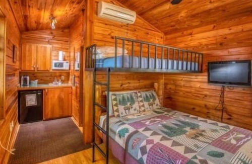 Manchester Cabin | Deluxe Cabin - Jetted Tub - Cabin Mini lodge near fishing pond and nature trail.