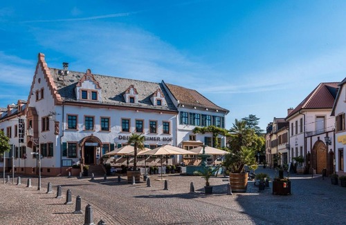 Deidesheim House | Deluxe Double Room - Hotel Deidesheimer Hof