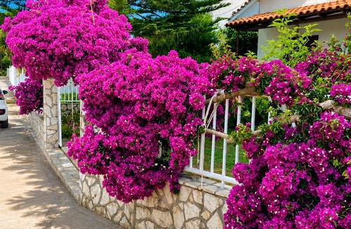 Mytikas House | Demetra