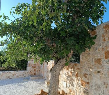 Impalata Apartment | Demetra Trulli Experience
