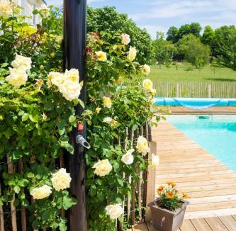 Saint-Thomas-de-Conac House | demeure d'alienor