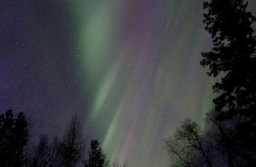 Talkeetna Ski Chalet | Denali View Mountaintop Guesthouse