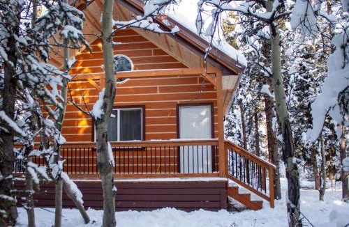 Healy House | Denali Wild Stay - Redfox Cabin, Free Wifi, private, sleep 6