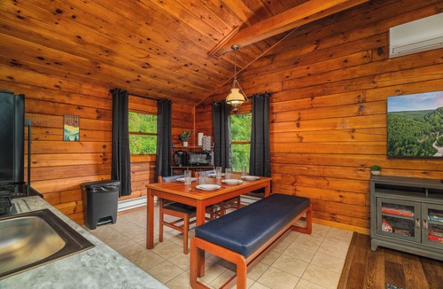 Mills Cabin | Denton Go Cabin #5 | Denton Hill State Park
