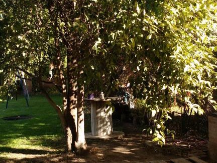 Neuquen Apartment | Departamento SV