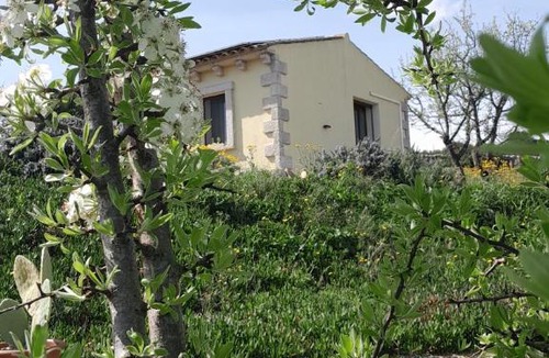 Arzachena Apartment | Dependance Pavoncella