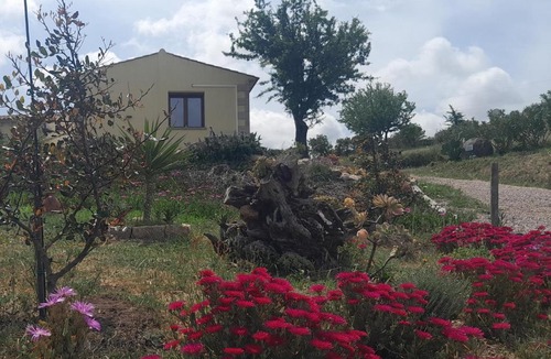 Arzachena Apartment | Dependance Pavoncella