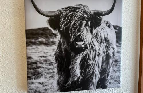 Feriendorf Silbersee House | Der Highlander