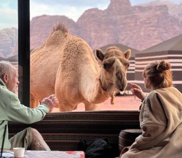Wadi Rum Bed & Breakfast | Desert Bird Camp