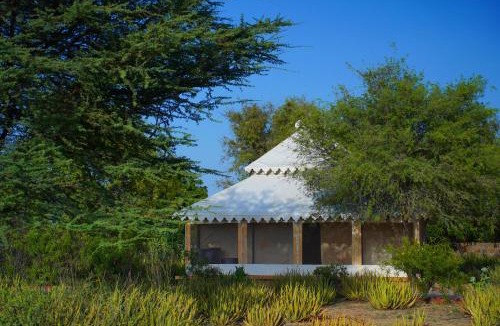 Kanoi Other | Desert Springs Resort