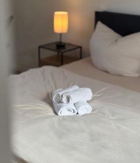 Deidesheim Apartment | Design Penthouse im Schlossareal Deidesheim