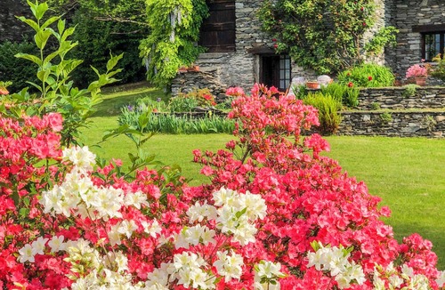 Croveo House | Detached 3½-room rustico with spacious and well-kept garden plot