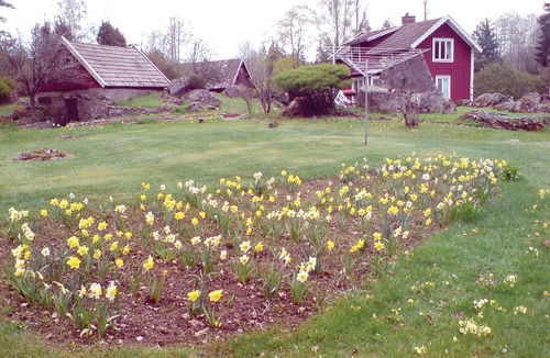 Rodeby House | Detached cottage on a farm (19th century) in an area with lots of forest and lakes.