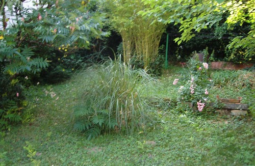 Sylvanes House | detached house with adjoining garden, in a small village surrounded by forests.