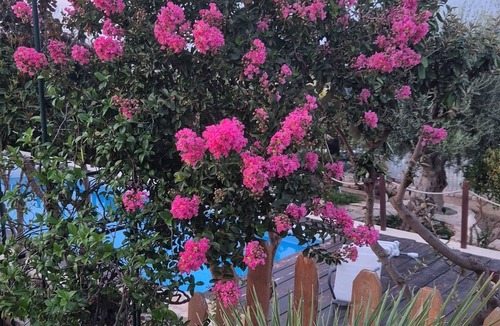 Conversano Villa | Detached villa in dead-end street. away from noise. with swimming pool.