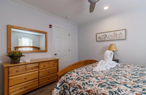 Wayne Apartment | Devon - Horse Show, History, Walk to Shops, Café's