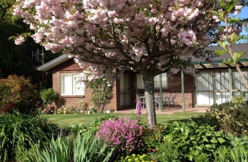 Whakatu Cottage | Dewdrop Cottage - a very special place to stay