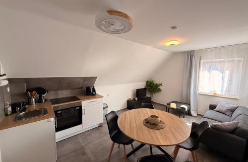 Nuertingen Apartment | DG Apartment mit Neckarblick