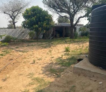 Didwana House | Dhankoli House