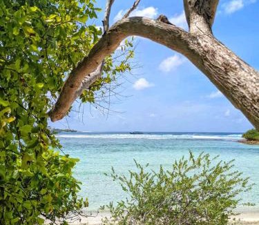 Thulusdhoo Island Hotel | Dhoadhi Retreat