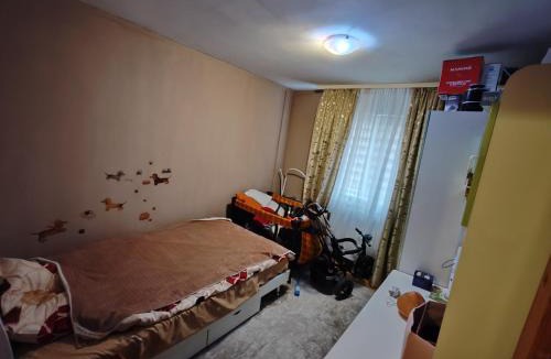 Bistrita Apartment | Diana