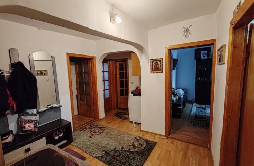 Bistrita Apartment | Diana