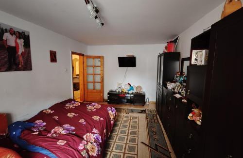 Bistrita Apartment | Diana