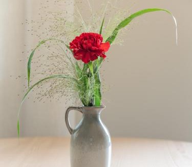 Lana Apartment | Dianthus Apartment