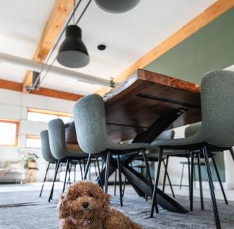 Postbauer-Heng House | Die Badeanstalt I Loft Nürnberg I 5 Minuten zu Fuß zum kostenlosen Naturbad I Messenähe I Waldnähe
