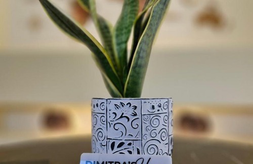 Almopia Apartment | Dimitra's house