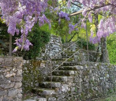 Ameglia Villa | Dimora bosco sul blu