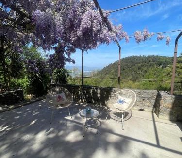 Ameglia Villa | Dimora bosco sul blu