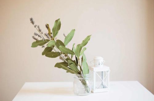 Costigliole d'Asti Bed & Breakfast | Dimora della Rocca