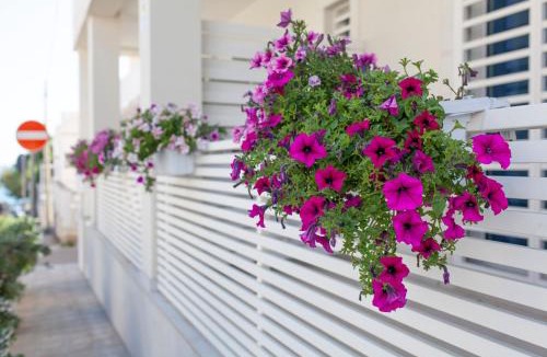 Cozze Bed & Breakfast | Dimora Nesea