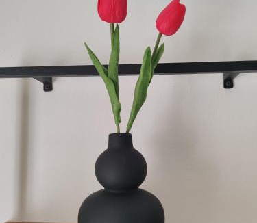 Cosenza Apartment | Dimora Urbana